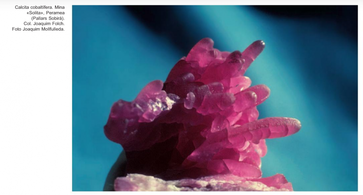 Crystals and the origin of life