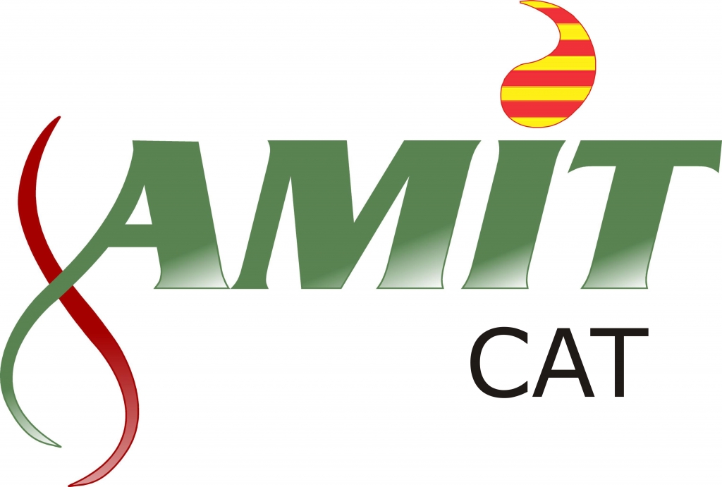 XIII Asamblea General AMIT-cat