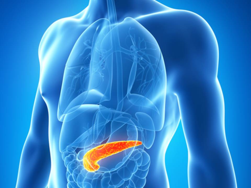Pancreatitis aguda o cómo se esparce la inflamación por todo el cuerpo