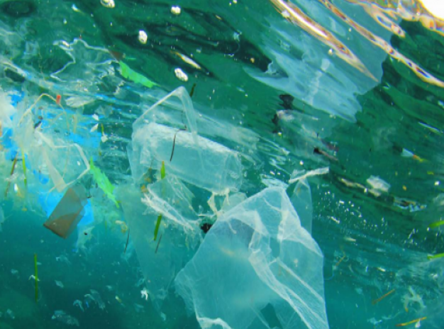 Plástico en el océano: destino final y consecuencias para el planeta