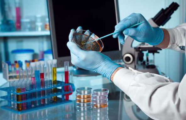 SCIENCE ON MONDAY: Why investigate... Biomedicine?