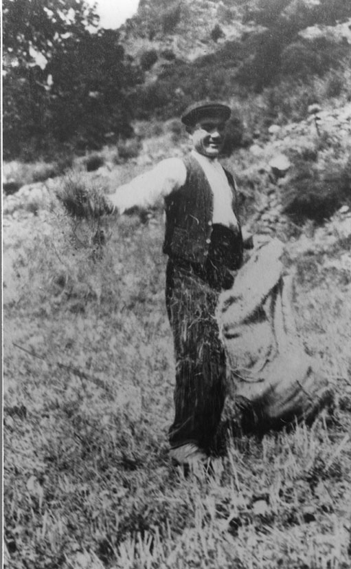 Imatges per al record: en el centenari de l'Arxiu d'Etnografia i Folklore de Catalunya (1915-2015)