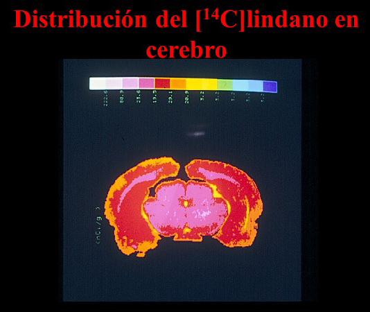 Impacte dels nous contaminants ambientals sobre la salut