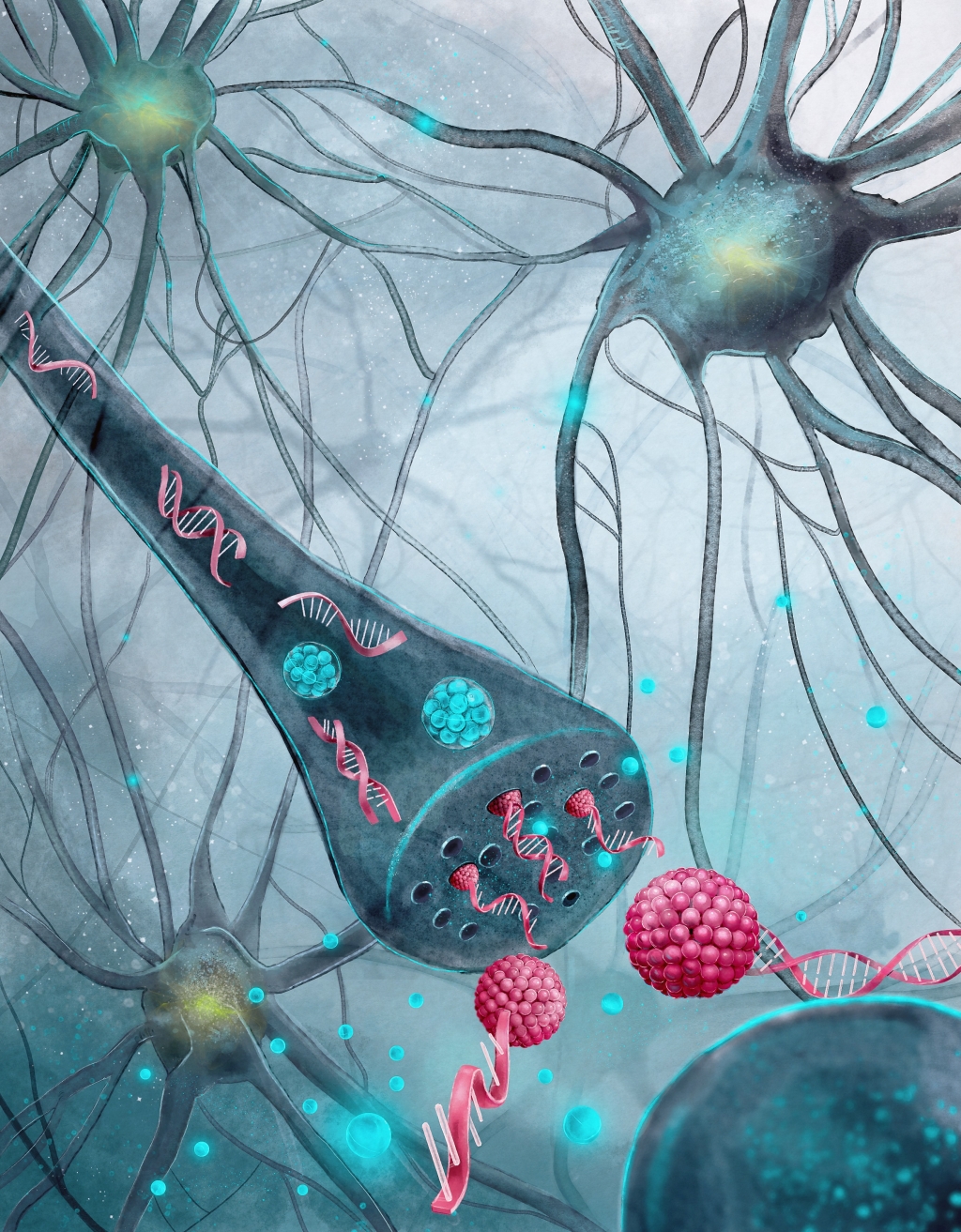 Avenços en el tractament de la malaltia de Parkinson: noves estratègies terapèutiques per controlar l’expressió de gens en el cervell