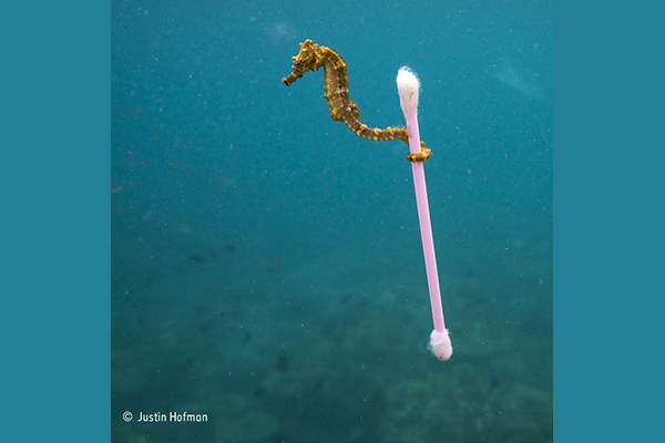 L'impact de la qualité de l'eau, médicaments et plastiques, avec le changement climatique