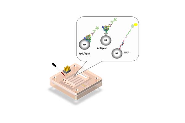 Tecnologías Bioanalíticas para el Diagnóstico de la COVID-19: CÓMO FUNCIONAN y en QUÉ MOMENTO se tienen que utilizar