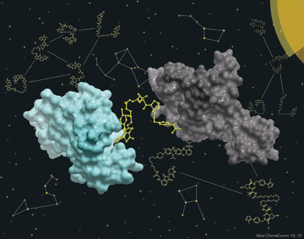 Nova generació de Protacs pel tractament de la Covid-19