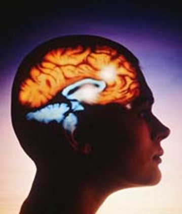 El cerebro y sus enfermedades