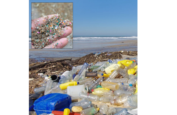 Contaminación por Plásticos: ¿cómo afecta a la salud humana?