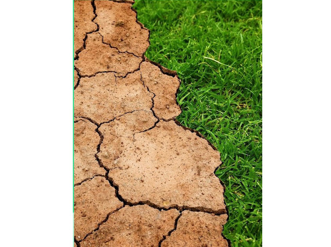 Cómo hacemos frente a la falta de agua que tenemos, y a la que vendrá