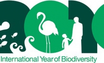 Biodiversitat. Del museu a la naturalesa