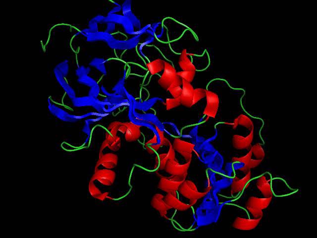 La investigació biomèdica actual