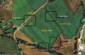 Impacto del Cambio Global en la agricultura y silvicultura: referencia especial a la Sanidad Vegetal