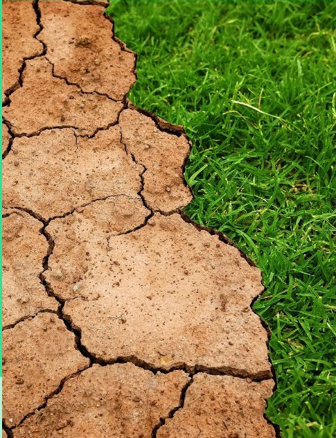 Lunes de Ciencia: impactos del Cambio Global... La Sequía